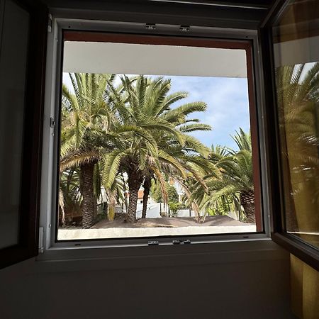 Phoenix Canariensis San Juan de la Rambla エクステリア 写真