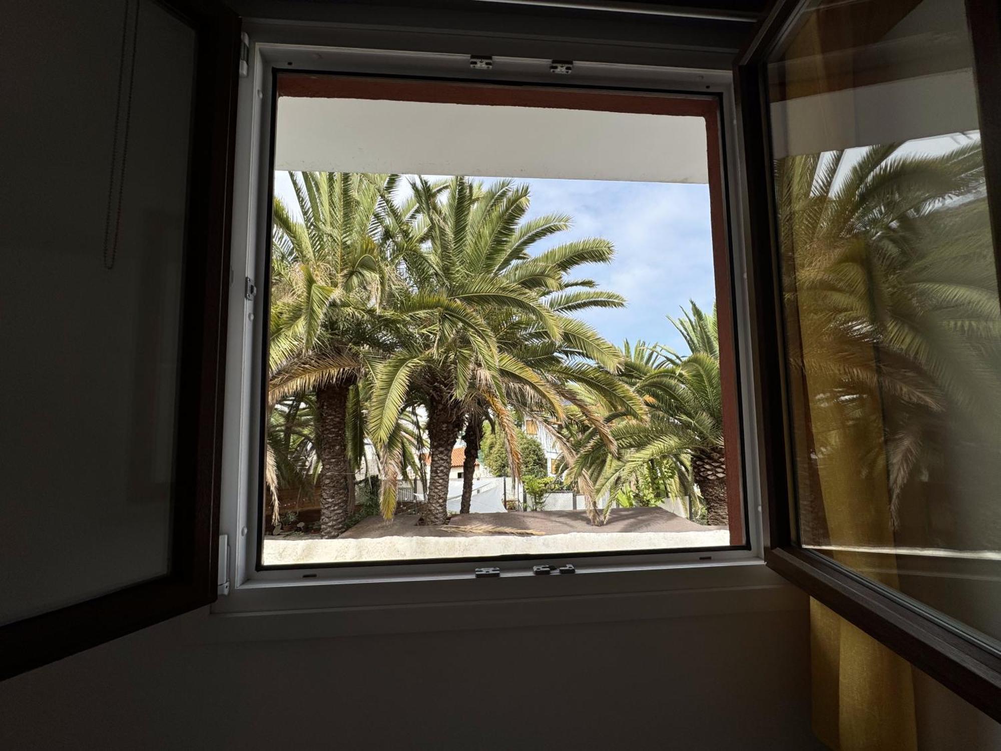 Phoenix Canariensis San Juan de la Rambla エクステリア 写真